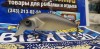 ASAKURA Perch -12 SR-F 03-24-045 -  