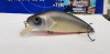 ASAKURA Perch -12 SR-F 03-24-045 -  