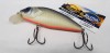 ASAKURA Perch -12 SR-F 03-24-045 -  