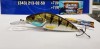 ASAKURA Perch -12 SR-F 03-24-500 -  