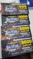 Подарочный сертификат 500 рублей - Рыболовный центр