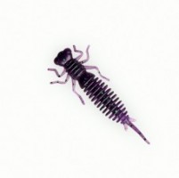  FANATIK Larva 2.5 .007 -  