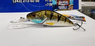 ASAKURA Perch -12 SR-F 03-24-500 -  